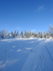 Le terrain des loisirs en hiver, Sainte-Apolline, Québec, Canada