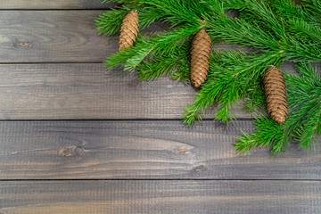 Christmas background. Fir-tree and three spruce bumps.