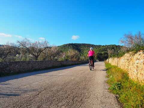 Mallorca - Radfahren zwischen den bl&uuml;henden Mandelb&auml;umen