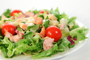 fresh salad with chicken tomatoes and cheese