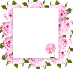 Creative layout with floral ornament. Flowers Peonies. Flower pattern. Flat lay. Nature concept