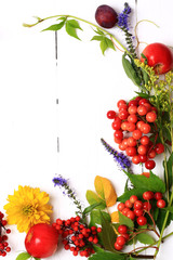 autumn composition with flowers and berries on a white wooden background