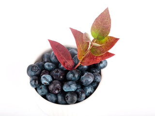 blueberry with leaves isolated on white background