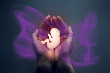 Womans palms pressed together and keep embryo from paper. Dark background with violet energy waves