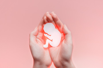 White paper embryo silhouette in woman hands. Pastel pink background with copy space. Pregnancy and abortion - obrazy, fototapety, plakaty