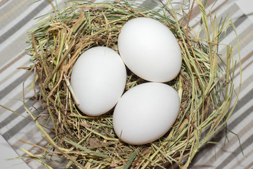 Easter white chicken eggs in straw nest, rustic style striped cloth below
