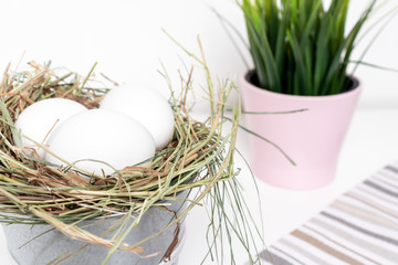 Fototapeta na wymiar Easter white chicken eggs in straw nest, spring plants in pink flower pot on white background and country style cloth