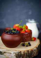 Blueberries and strawberries harvesting dessert