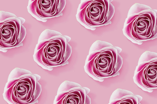 Pink Rose flowers pattern on pink background