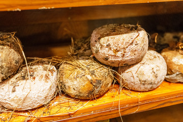 Set of aged traditional tuscan pecorino cheeses. Italian cuisine concept