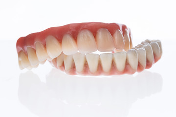 Two Dental prosthesis from ceramic and artificial gums, photographed on a white background with reflection