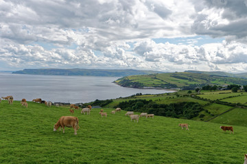 Nordirland - Cushendun - Küste