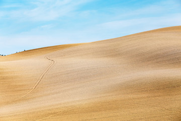 Fototapeta premium Typical landscape of rural Tuscany plowed fields in autumn. Harvest and travel concept