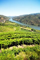 Tal des Douro