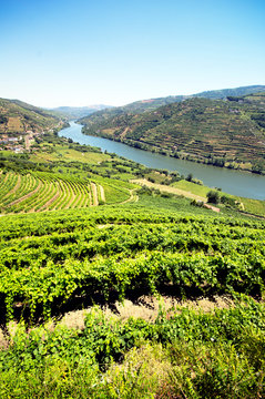 Tal des Douro