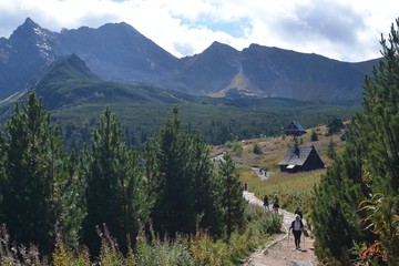 Tatry - szlak niebieski na Halę Gąsienicową