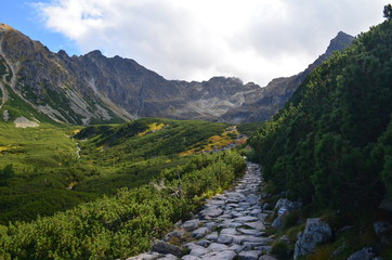 Tatry - niebieski szlak do czarnego Stawu gąsienicowego z widokiem na Orlą Perć