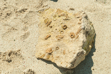 piedra arena