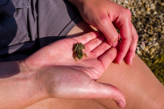 B&eacute;b&eacute; grenouille