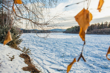 The branches of birch and winter river Irkut