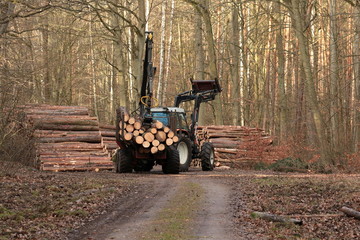 Rückezug bei der Arbeit © ReNi
