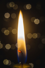 a burning candle in front of xmas tree