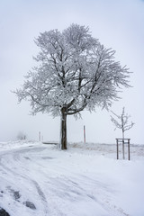 Fototapeta premium Winter landscape in the Erzgebirge, Germany