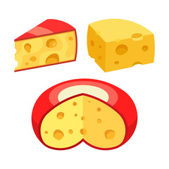 set of different kinds of cheese, realistic image, flat style