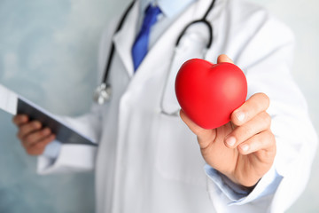 Doctor holding red heart, closeup view with space for text. Cardiology concept