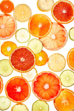 citrus cross section on lightbox