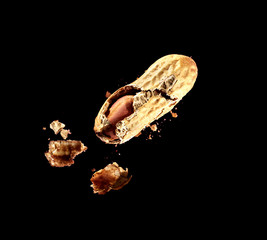 Peanut in Shell