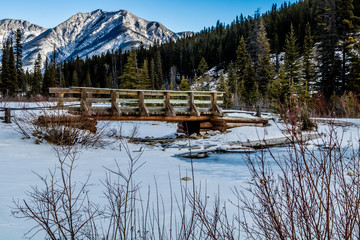 Spring thaw as the water opens at Mount Lorette Ponds, Bow Valley Provincial Park, alberta, Canada