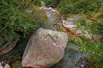 Among the coniferous vegetation, the impetuous waters of the river flows among the stones, in the verdant Valle Quarazza, on the slopes of the Monre Rosa in Piedmont, Italy.