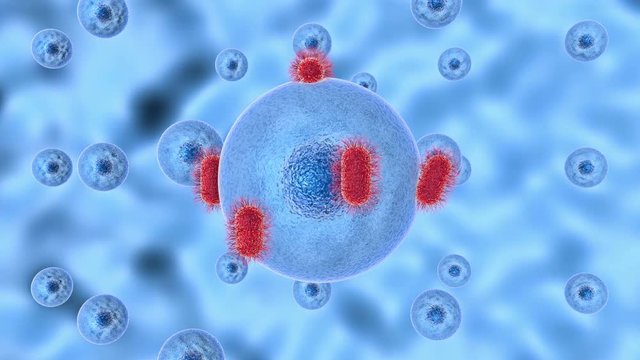 3D animation of process infecting cell of pathogenic microorganisms.