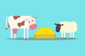 Flat Cow and sheep standing on field. Vector illustration.