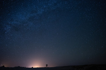 Starry Sahara Night