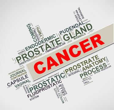 Wordtag wordcloud of prostate gland cancer concept