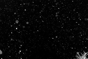 Bokeh white snow on a black night background