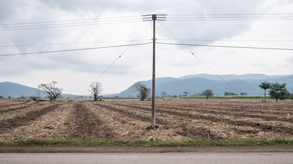 Field of Tamasopo, Mexico