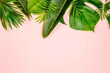 Tropical leaves and flowers on pink background
