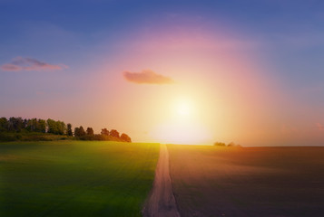 spring countryside landscape; sunrise over spring farmland field and country road