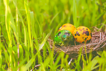 nest with eggs in the grass, spring easter composition