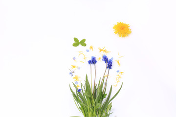 Creative concept with dandelion isolated on white background. spring easter composition