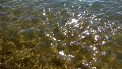 Sea, shallow water, glare on the water