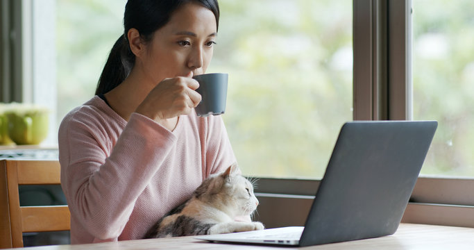 Woman work on computer with her cat at home
