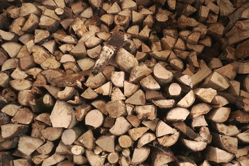 Wall Of Harvested Wood
