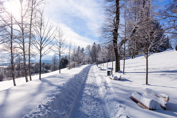Beautiful winter landscape and road to nowhere
