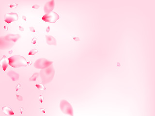 Japanese cherry blossom pink flying petals