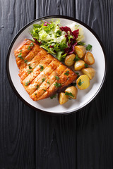 Healthy lunch grilled swordfish fillet with fried potatoes and fresh salad close-up on a plate. Vertical top view