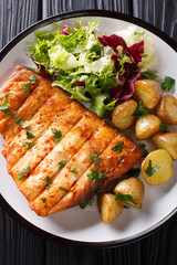Fried swordfish steak with baby potatoes and fresh salad close-up on a plate. Vertical top view